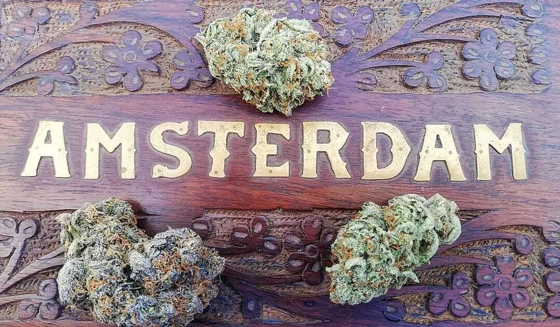 Amsterdam dit non à la fumée de cannabis dans les rues : fin de la liberté 
