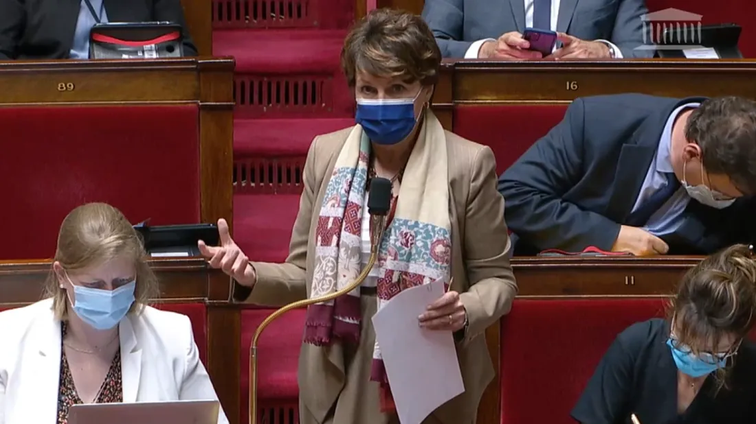 Annie Genevard Propose l'interdiction de drapeaux et de traditions dans l'assemblée nationale