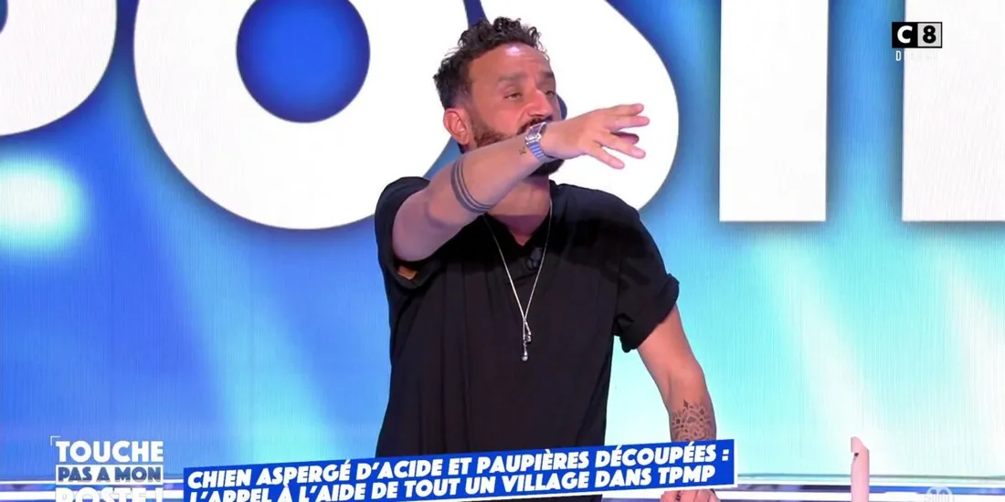 TPMP : Cyril Hanouna interrompt l'émission après des menaces dans le public : 