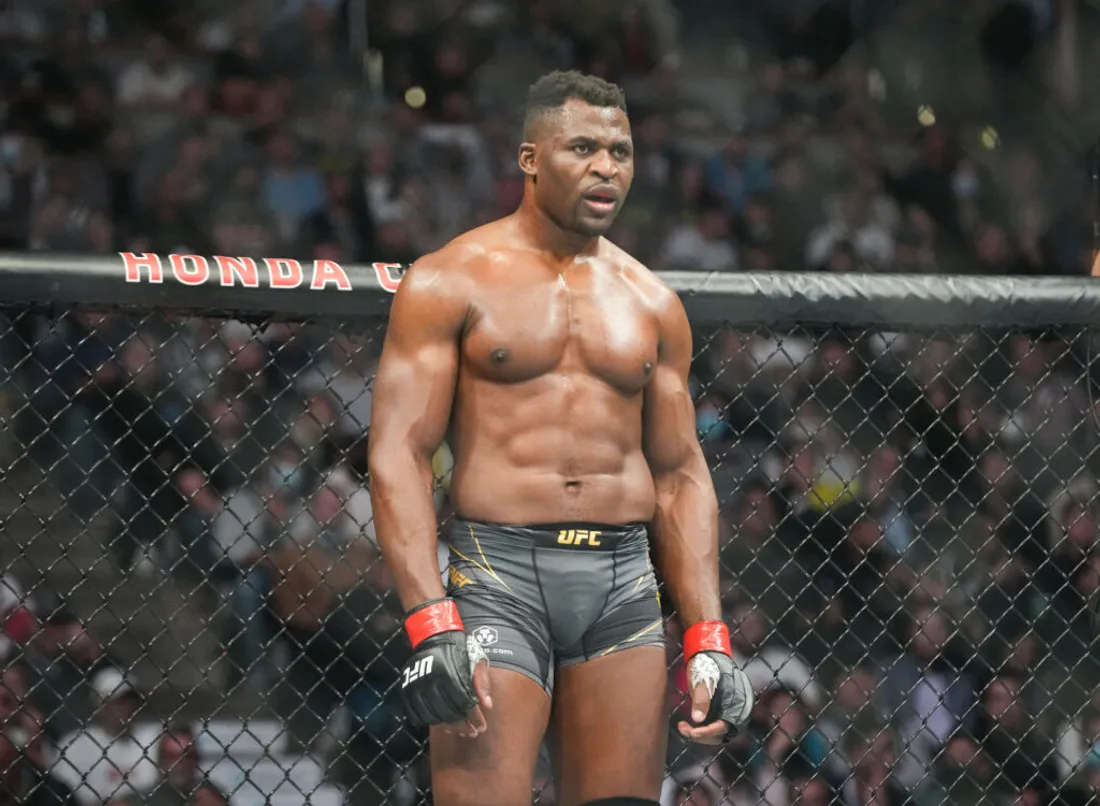 Bonne nouvelle pour Francis Ngannou