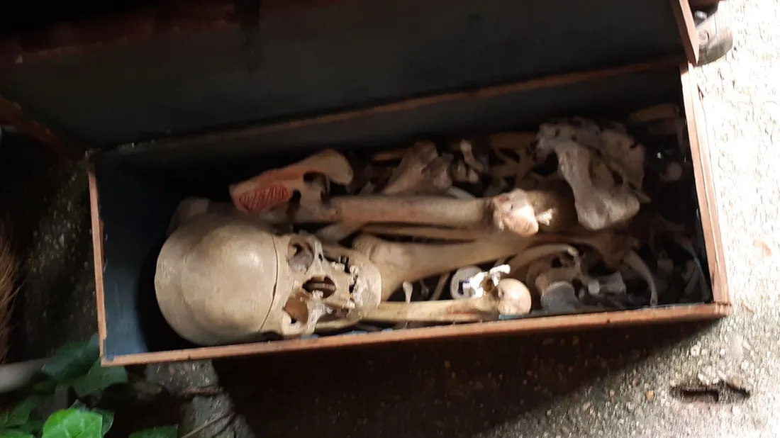 Scandale en Floride : Vente d'ossements humains sur Facebook 