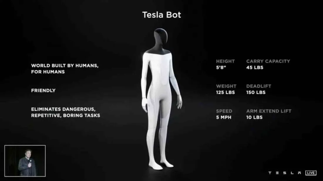 Tesla bot