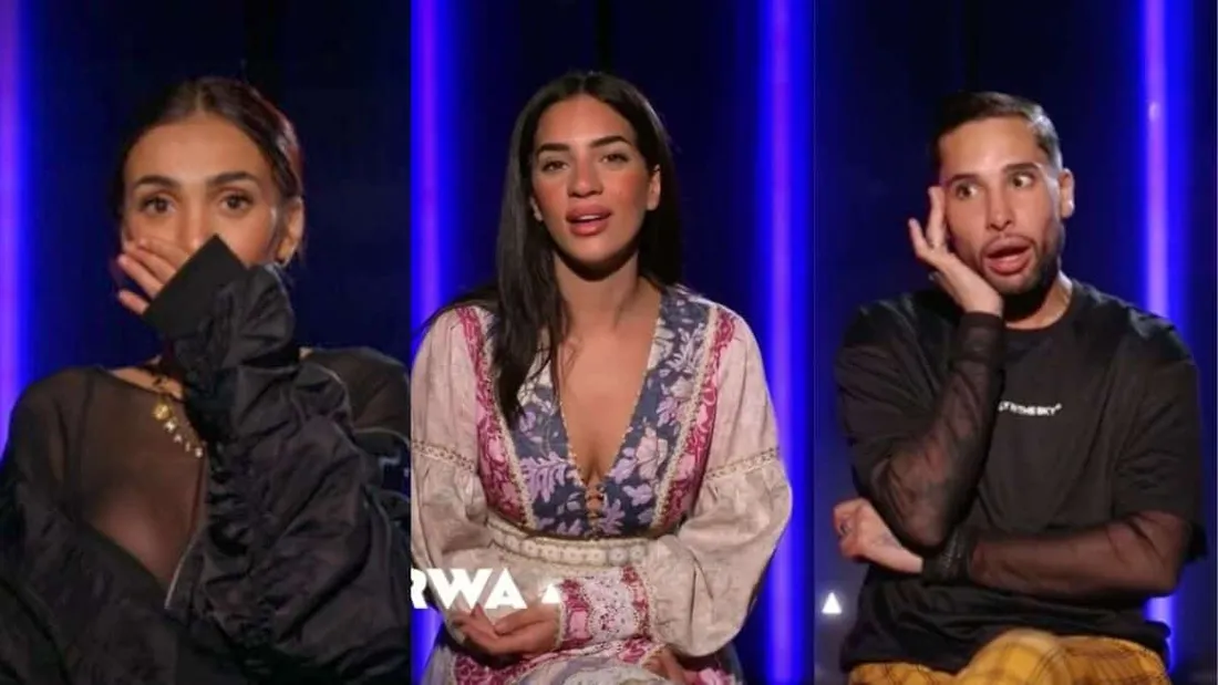 The Cerveaux : W9 lance sa nouvelle émission avec un casting de stars de la télé-réalité