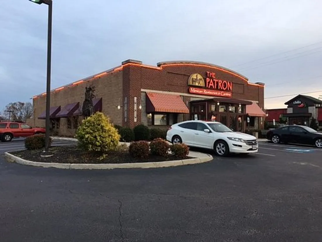 Un serpent dans son cocktail : soirée mémorable pour une cliente en Virginie