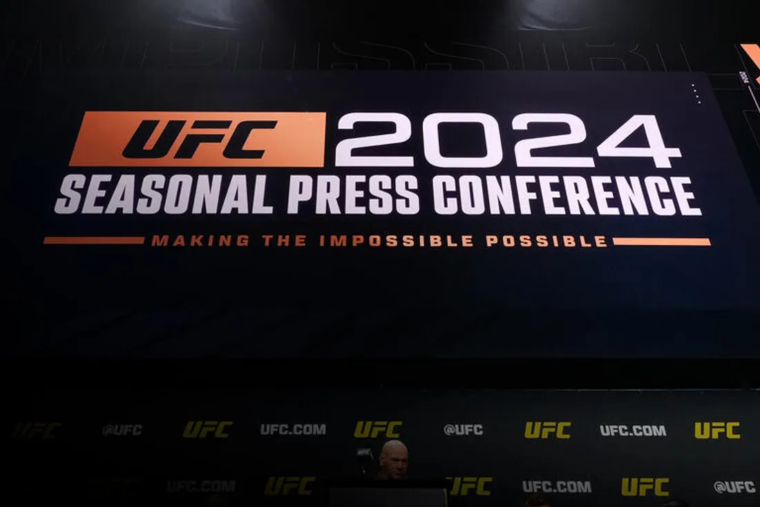 UFC Paris 2024 : ce qu'il faut savoir