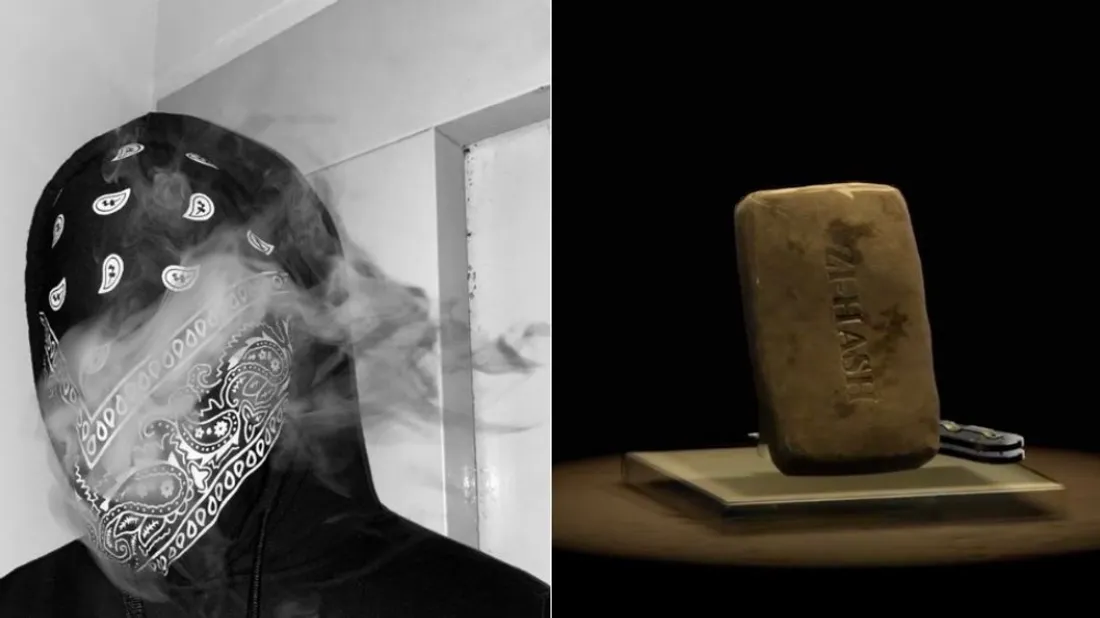 Zak lance du cryptoshit en NFT 