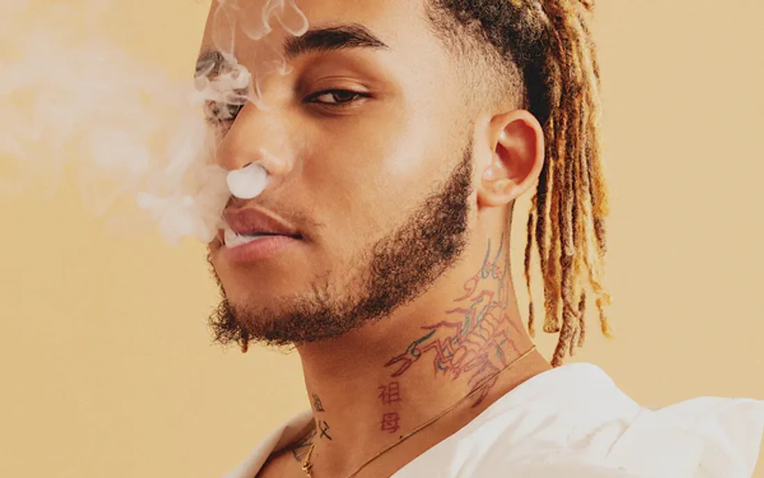 Zola partage ses derniers échanges avec sa mère et critique la police