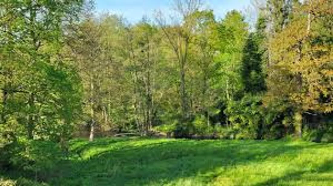VALLONNEE