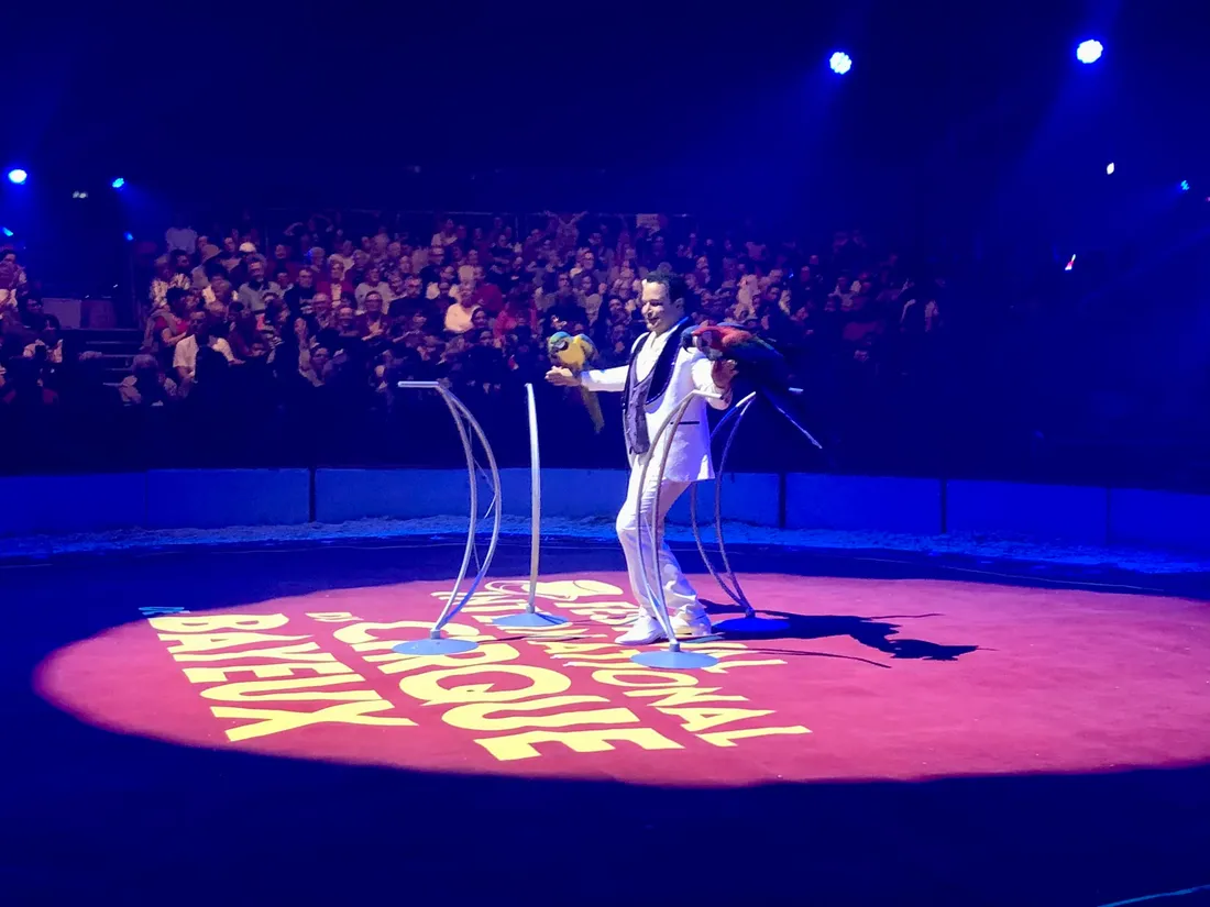 L'artiste Italien Alessio Fochesato et ses Aras sous le chapiteau du Festival du cirque de Bayeux
