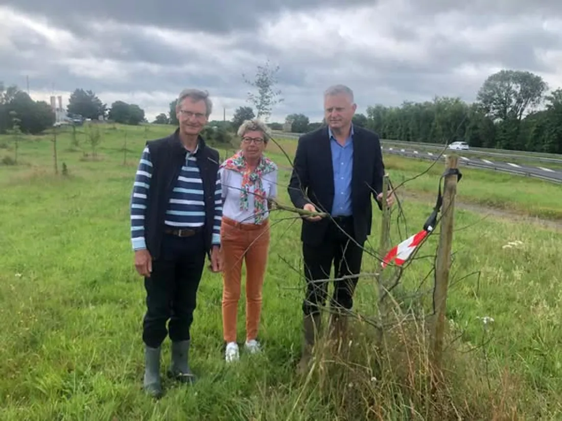 La ville de Bayeux dénonce le saccage d'une trentaine de jeunes arbres à l'entrée de la commune.