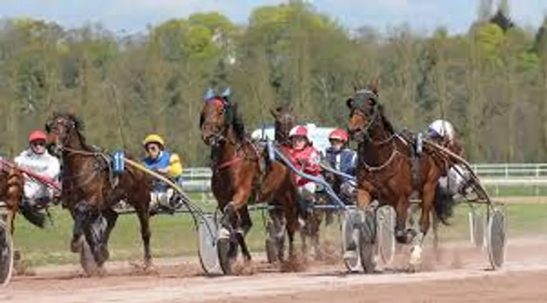 hippisme