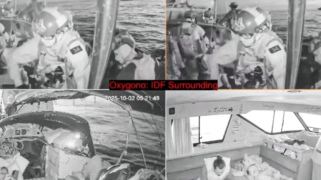 amnesty international