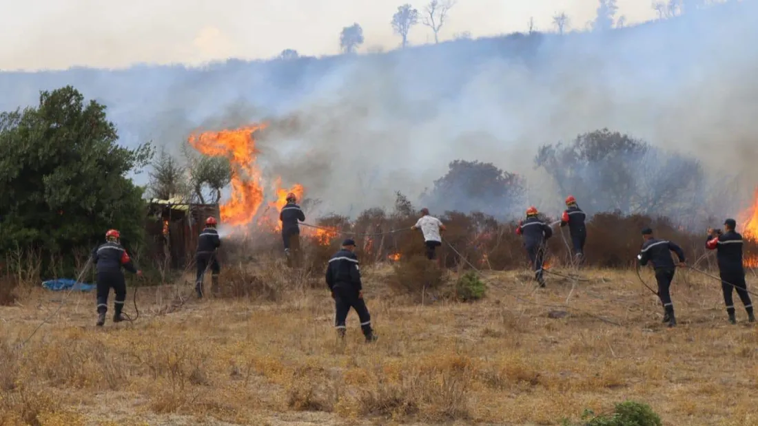 Incendie en Algérie 