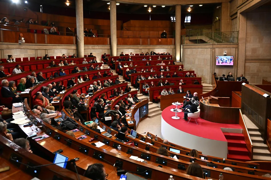Conseil économique, social et environnemental - CESE