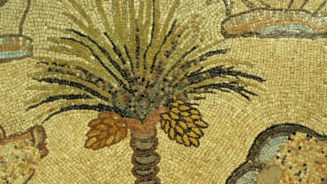 Trésors sauvés de Gaza (IMA)