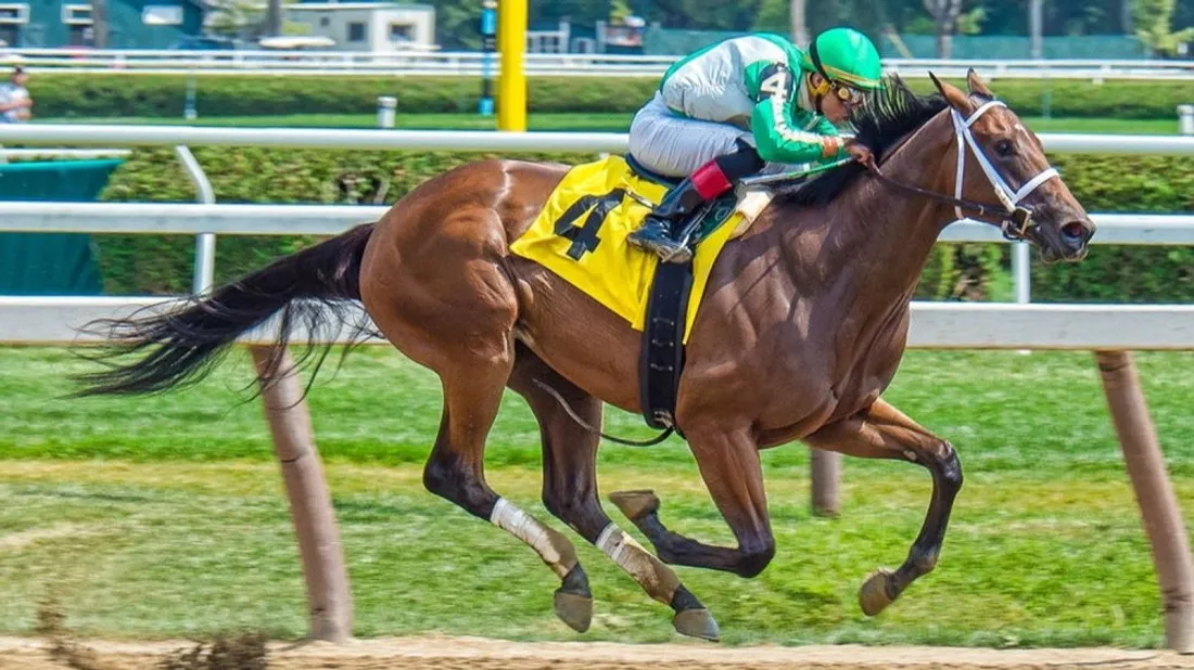 Madison (plus légère)