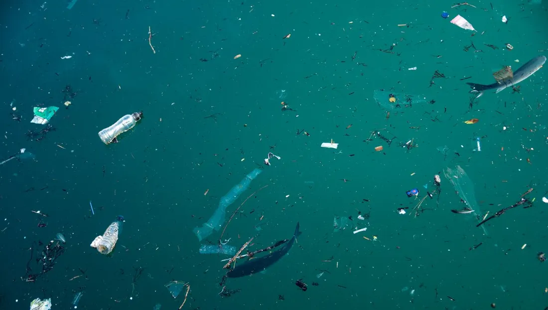 Une pollution importante aux microplastiques touche les grands fleuves européens