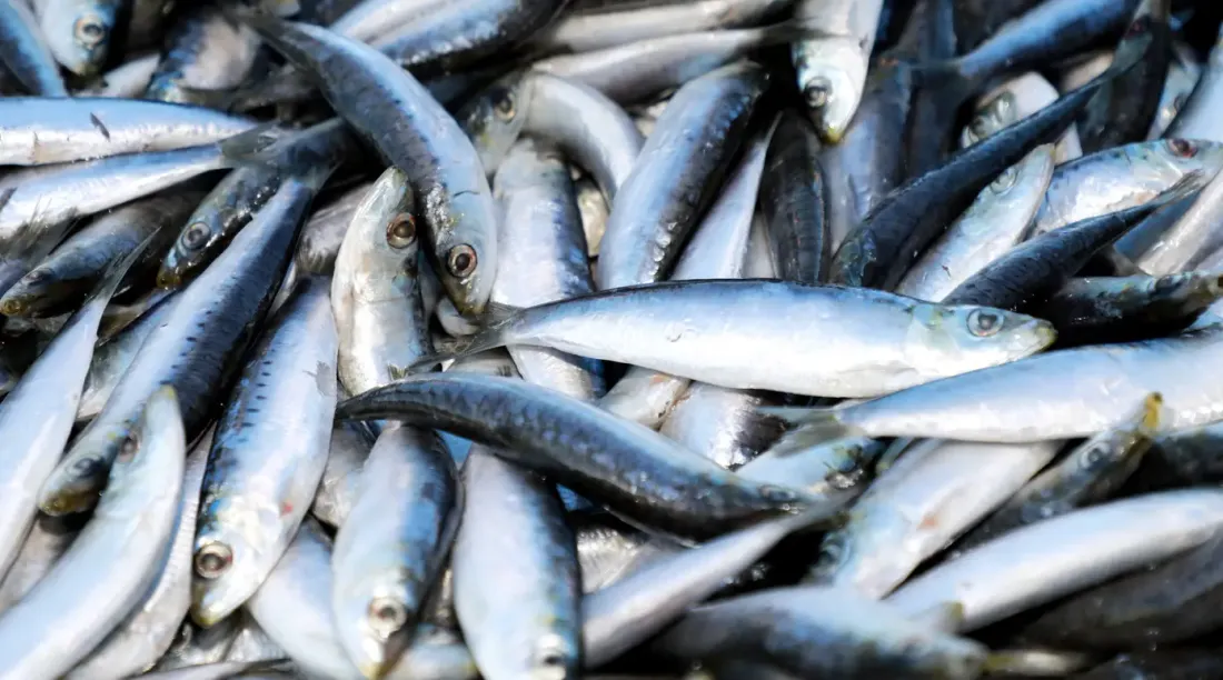 [ SOCIETE ] 100% des Français sont contaminés aux métaux lourds 