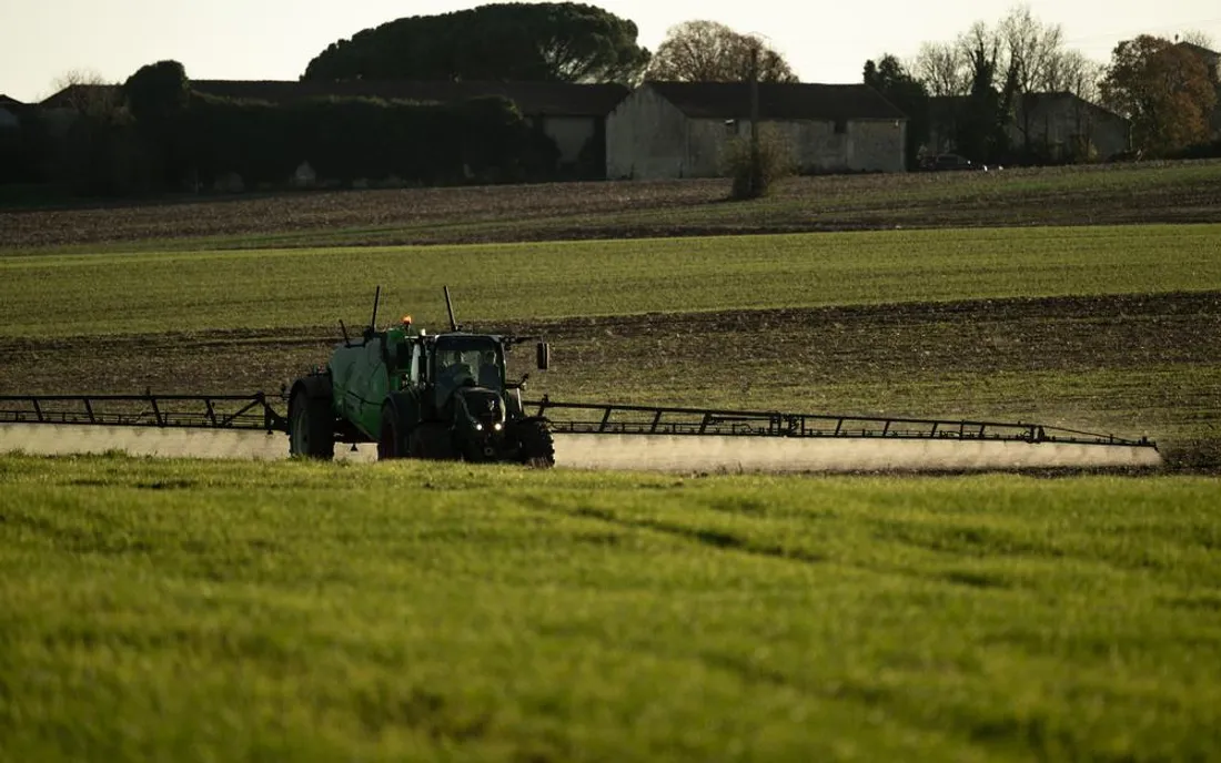 Acétamipride : le Sénat relance le débat sur un pesticide au cœur des enjeux agricoles