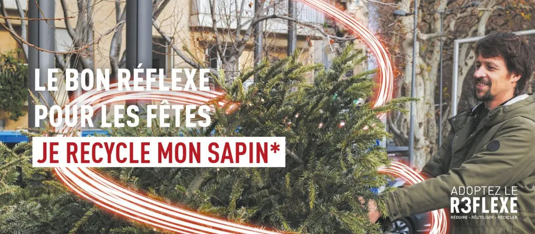 [ Societe ] Que faire de votre sapin après les fêtes ?