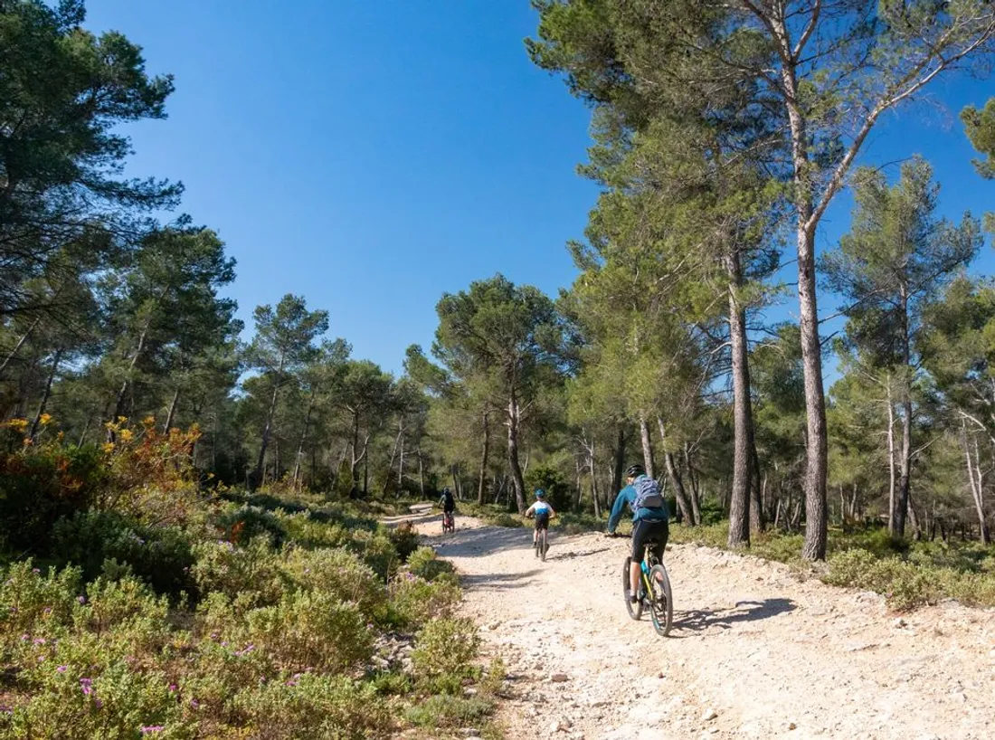 Partez à la découverte des Alpilles avec le rallye vélo "Les Boucles d’Aureille"