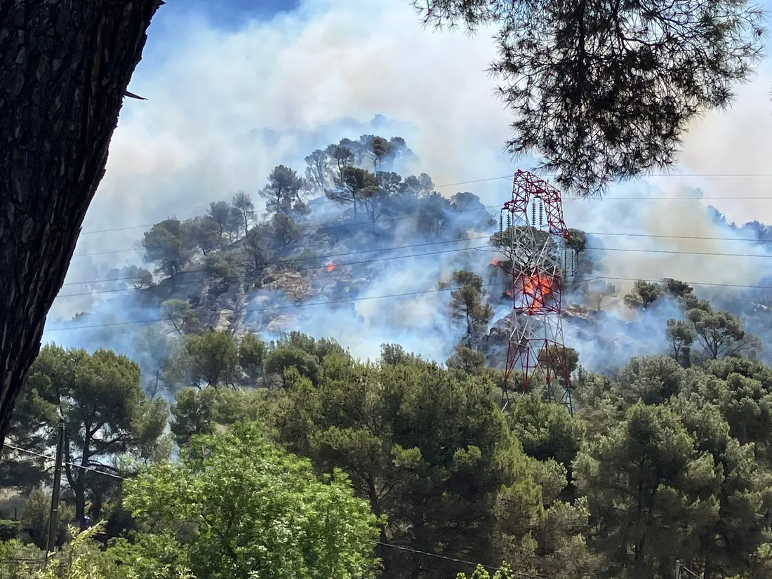 Incendies dans le Sud : 700 hectares ravagés, des dizaines de maisons détruites