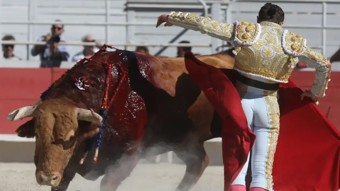 [ CULTURE/LOISIR ] 35 parlementaires signent une tribune contre la corrida 