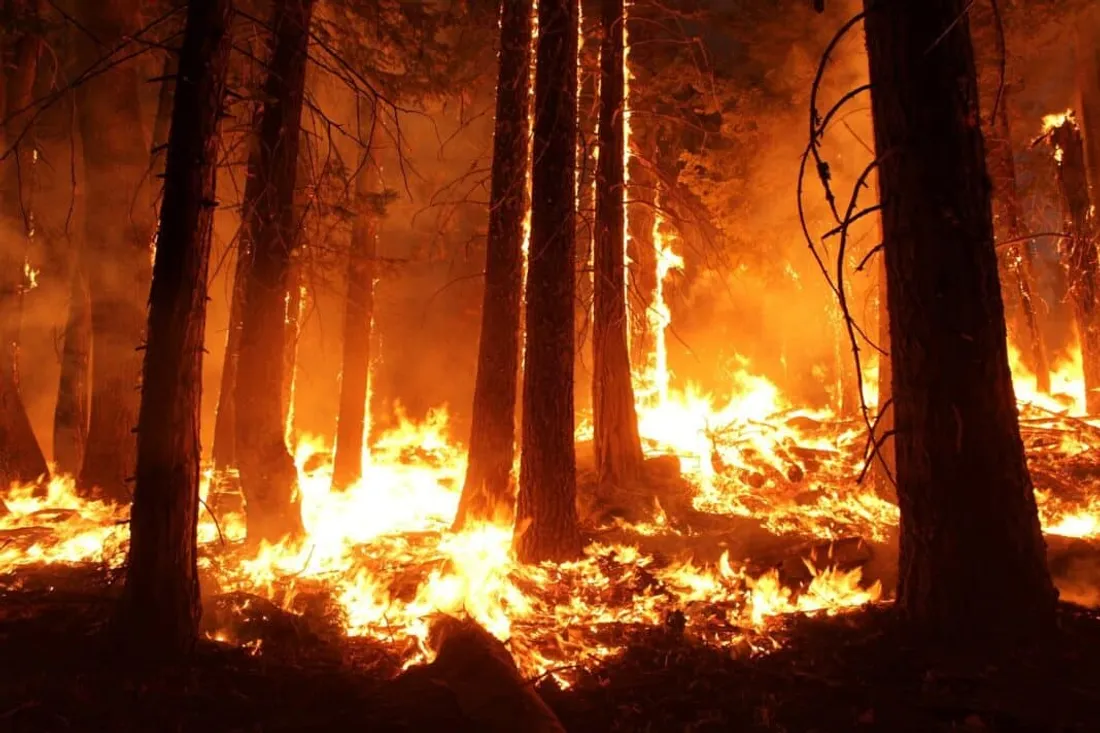 Risque maximal de feux de forêt : 13 massifs fermés dans les Bouches-du-Rhône jusqu'au 27 août