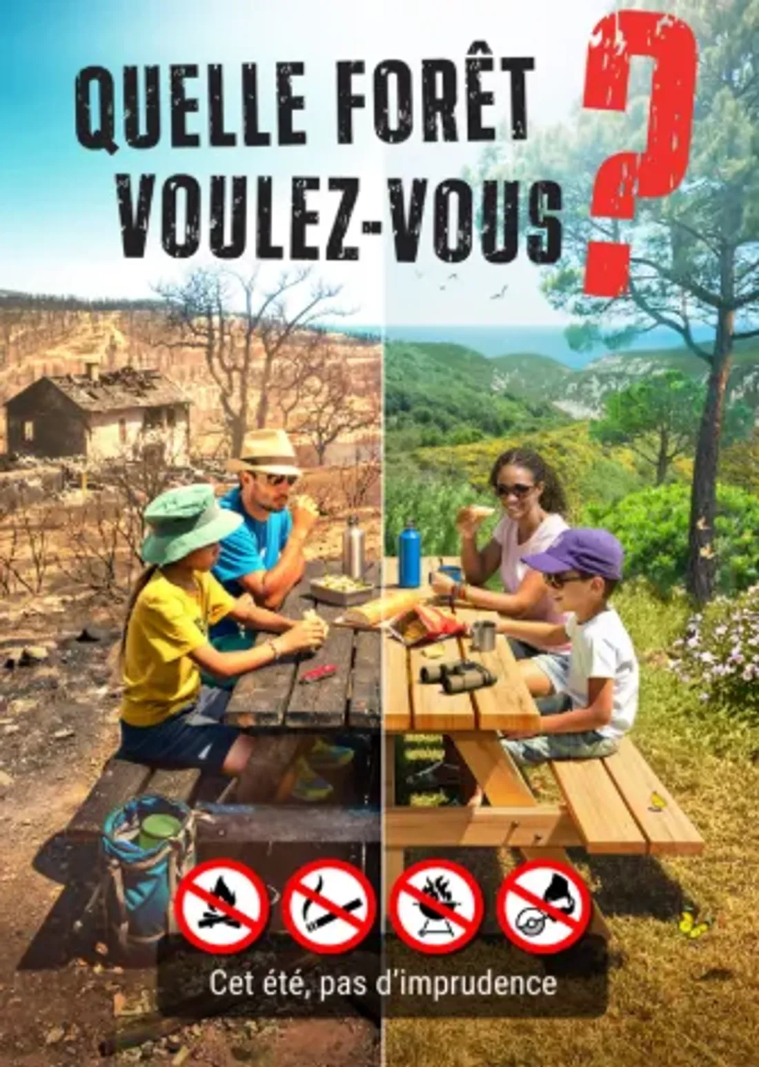 « Quelle forêt voulez-vous ? »