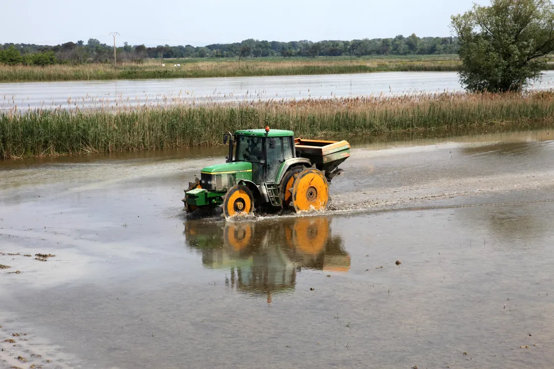 Un milliard d’euros pour l’agriculture : quelle part pour la Camargue ?