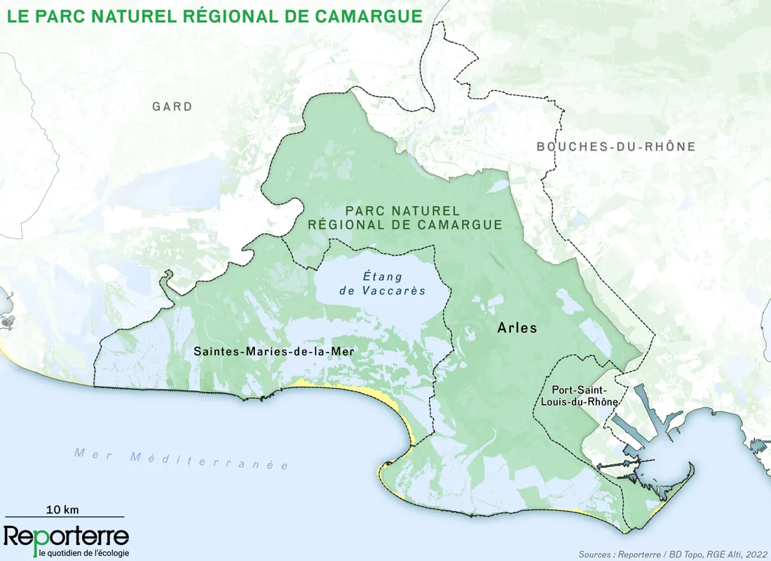 Camargue : une mobilisation inédite contre le projet de ligne à très haute tension