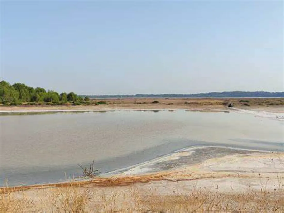 Fos-sur-Mer : Les associations écologistes déposent un recours