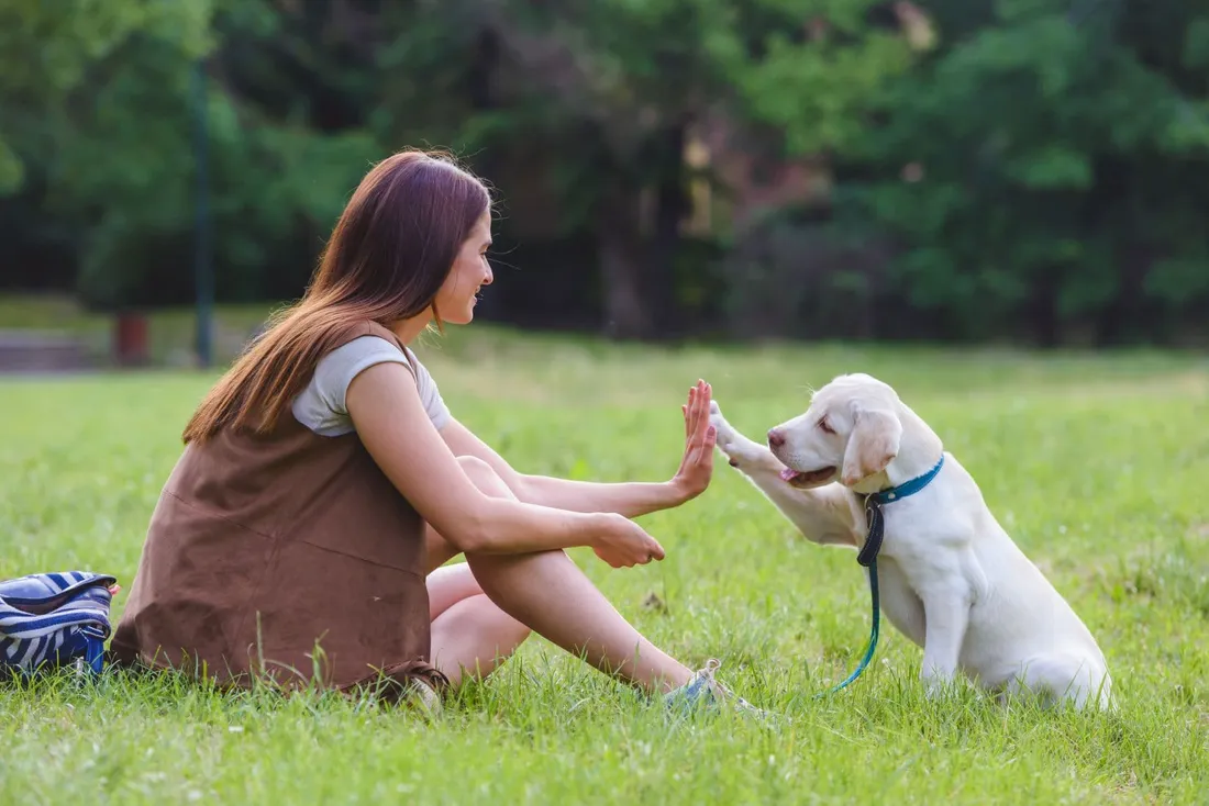 [ SOCIÉTÉ ]: Il fait bon vivre avec son chien dans les Bouches-du-Rhône.