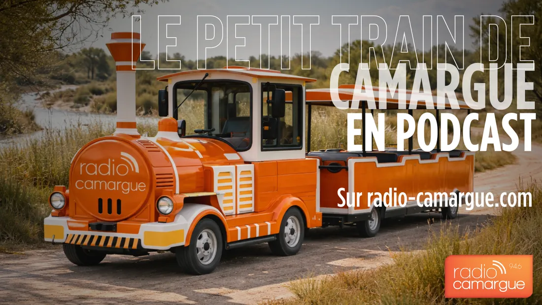 Le petit train de Camargue