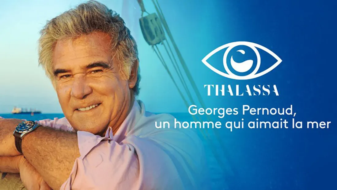 Quand Georges Pernoud et Thalassa racontaient la Camargue