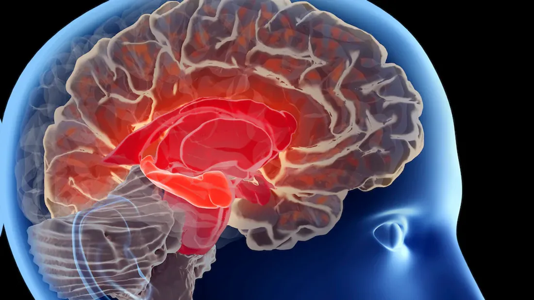 Alzheimer : une prise de sang pourrait-elle anticiper l’apparition des symptômes ?
