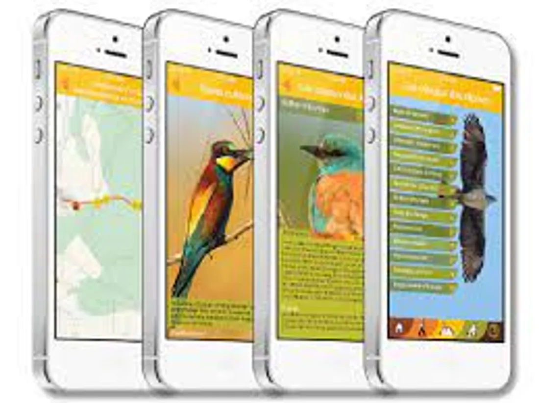 [ TOURISME ] Alpilles: Une appli pour vous signaler les lieux surchargés débarque