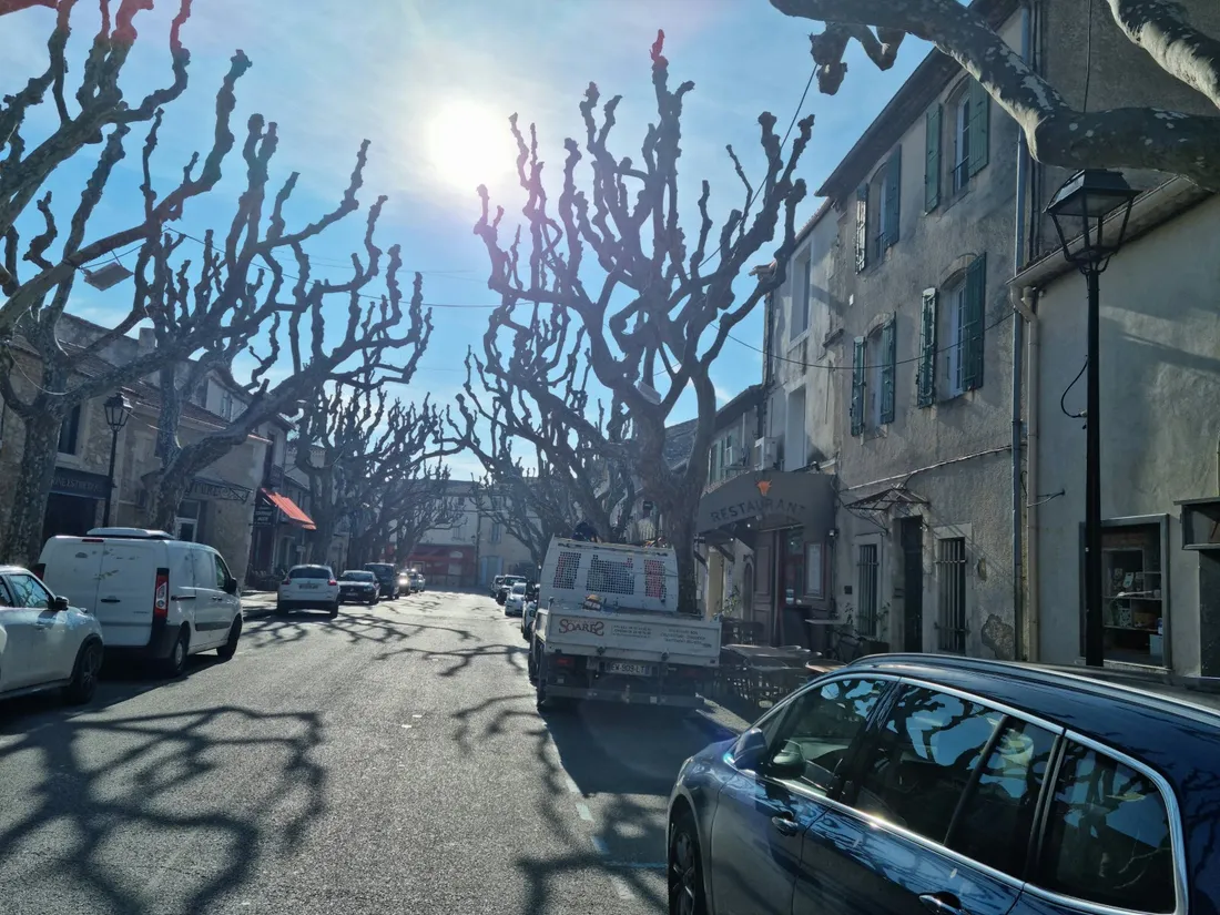 [ FAIT DIVERS ] Du nouveau sur l'affaire des embryons retrouvés à Mouriès