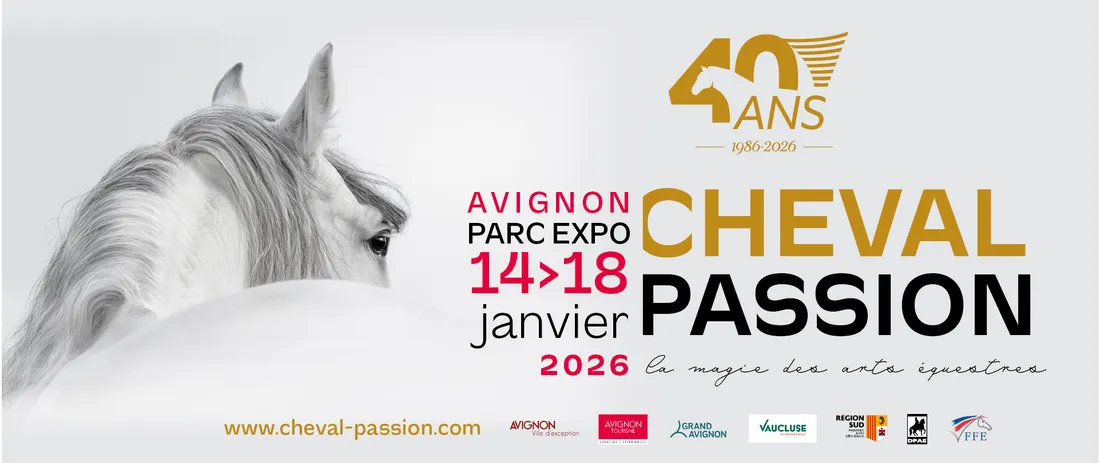 Cheval Passion 2026 à Avignon : cinq jours au cœur de l’univers équestre