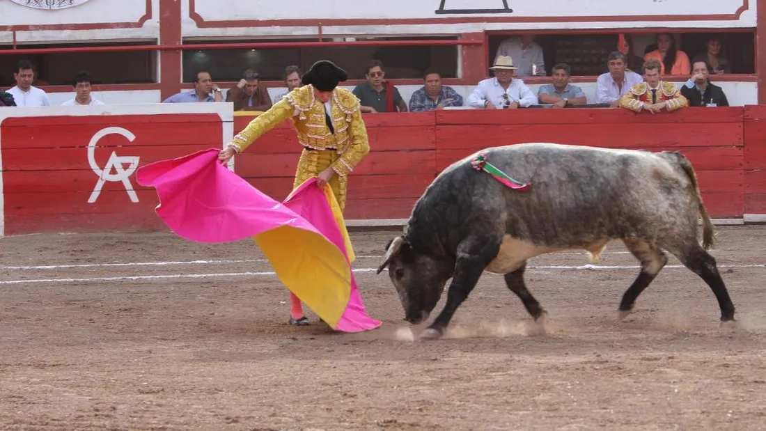 [ CULTURE/TRADITION ] Les élus du Sud apportent leur soutien à la corrida