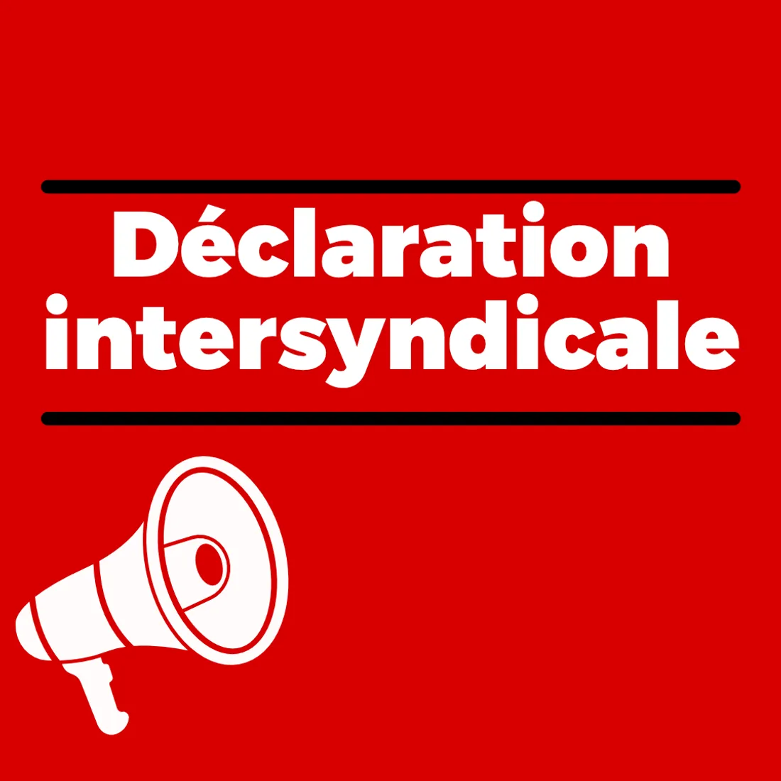 Mobilisation en Camargue : forte affluence et tensions à Marseille