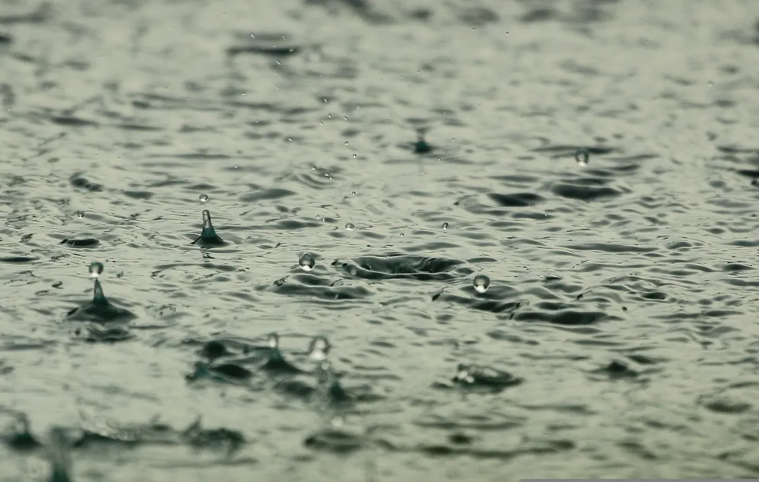 Des Saintes-Maries-de-la-Mer à Nîmes, les fortes pluies ont balayé la Camargue et le Gard