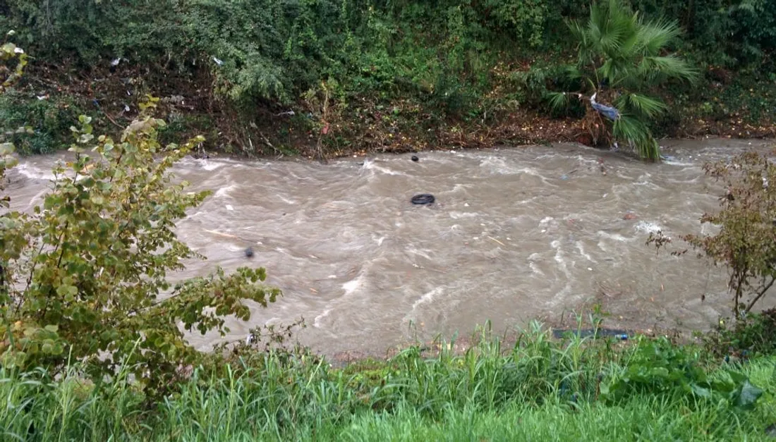 [ ENVIRONNEMENT ]: L'indignation des associations environnementales après les tonnes de déchets