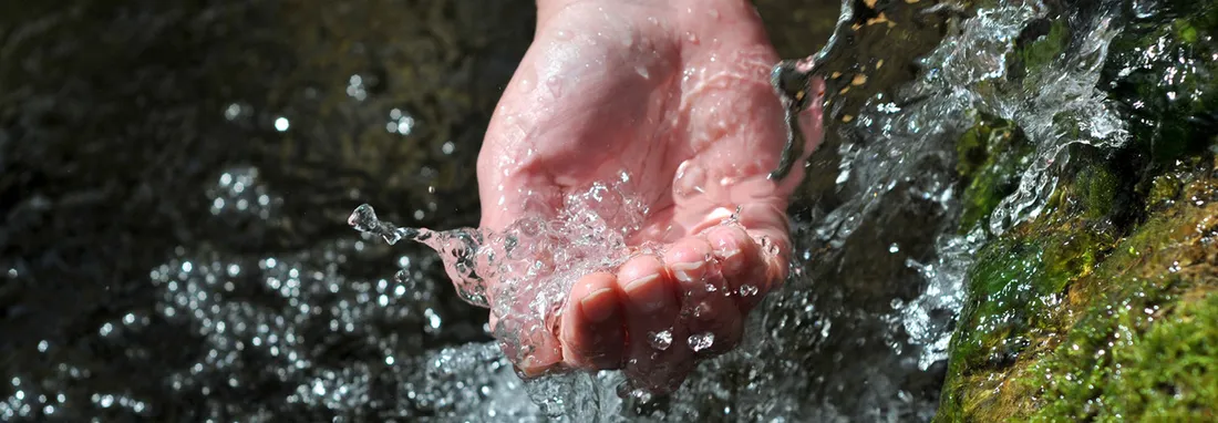 [ ECONOMIE/ECOLOGIE ] Le plan "OR BLEU" validé par la Région Sud PACA