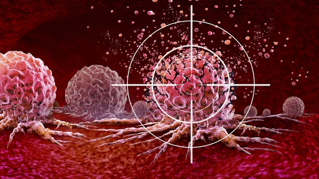 Une nouvelle arme contre les cancers résistants : Fento-1, une molécule française prometteuse