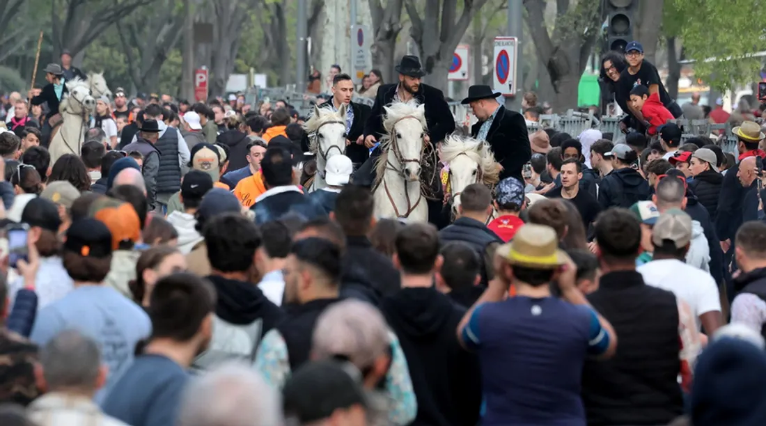 [ CULTURE - ARLES ] Environ 300 000 visiteurs sont quand même venus à la Feria d'Arles  
