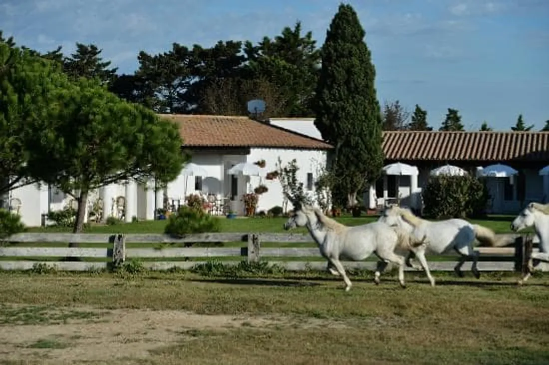 [ SOCIÉTÉ ]: Les températures sont douces en ce début d'année