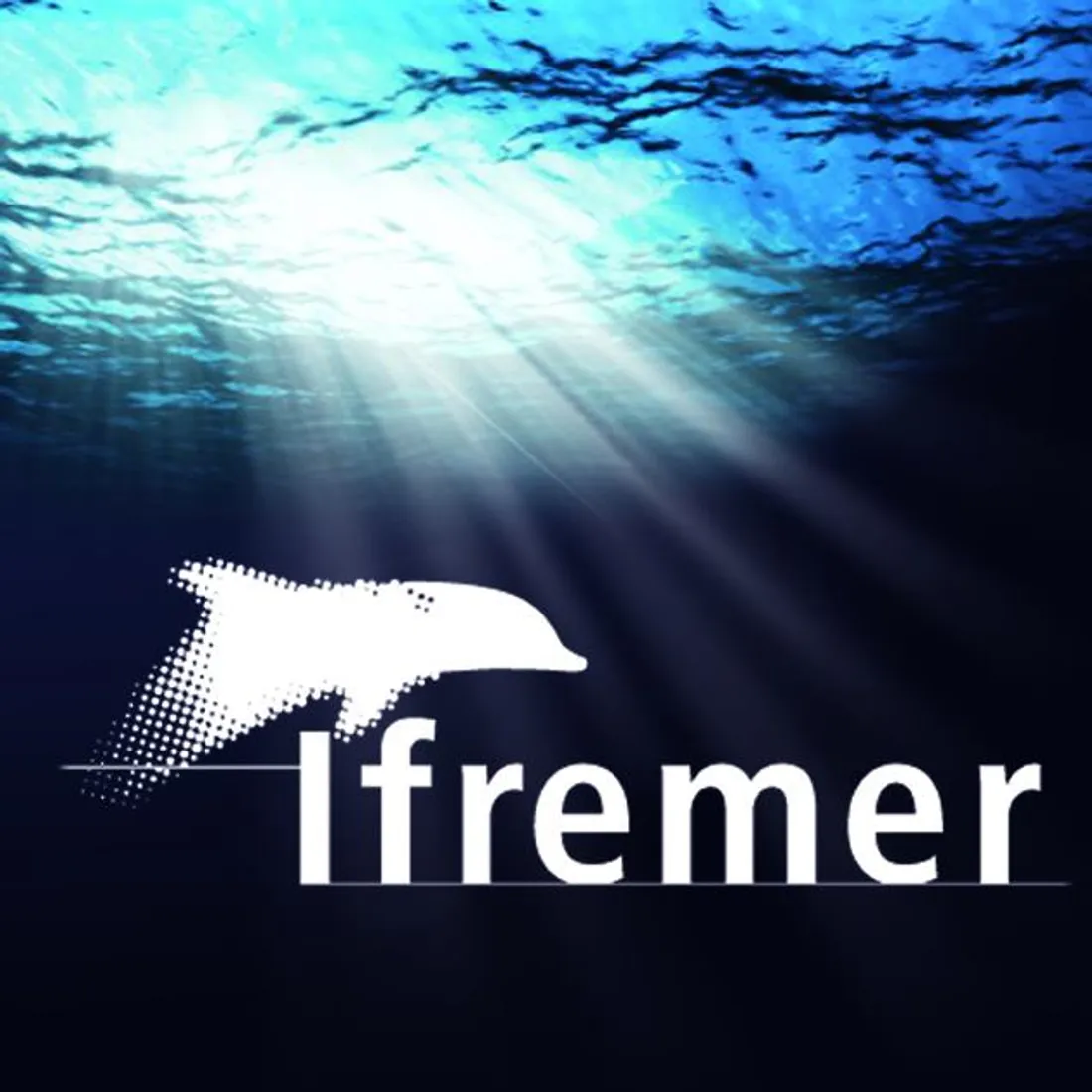 [ ENVIRONNEMENT ] Camargue: L'IFR accueille une conférence internationale sur l’observation des mers