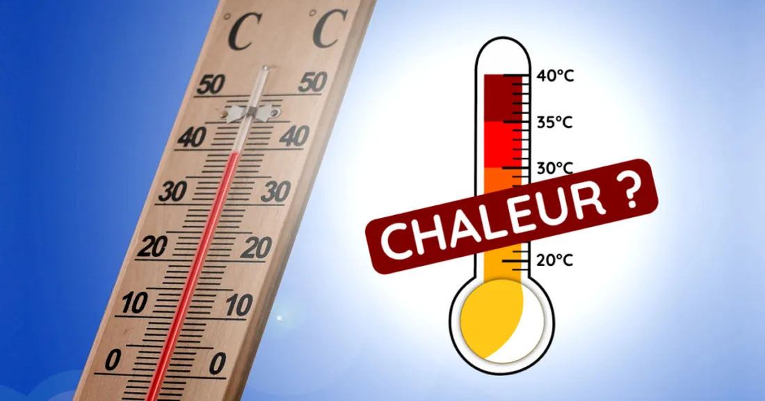 Après un été historique, la chaleur joue les prolongations en Camargue