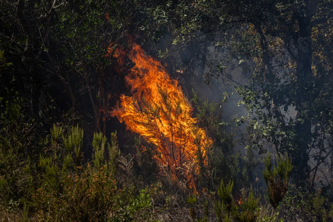 INCENDIE DANS LE GARD : LE FEU DE LÉDENON FIXÉ MAIS TOUJOURS SOUS SURVEILLANCE